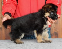 /album/a5-weeks1/kopie-5tyzdnov-f-066-jpg/